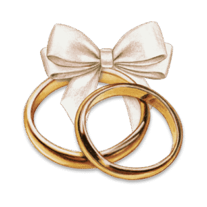 Untitled design (17)