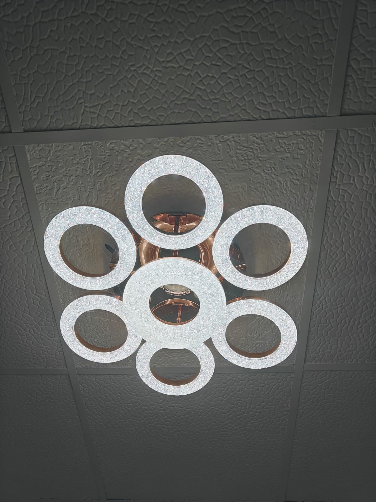 WhatsApp Image 2025-11-15 at 2.35.21 PM